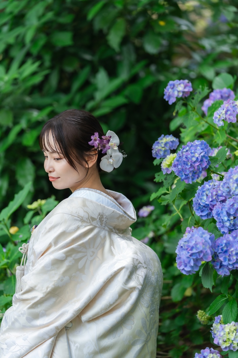 紫陽花
