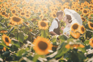 昭和記念公園和洋ロケーション