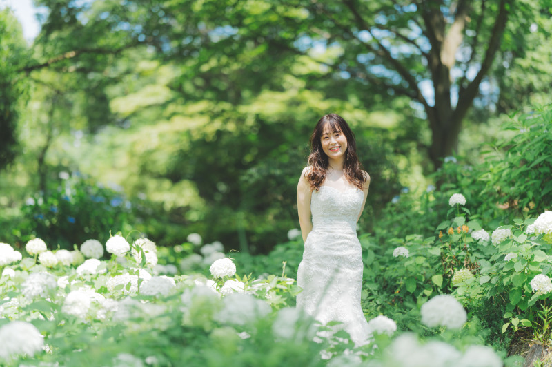 昭和記念公園の紫陽花6