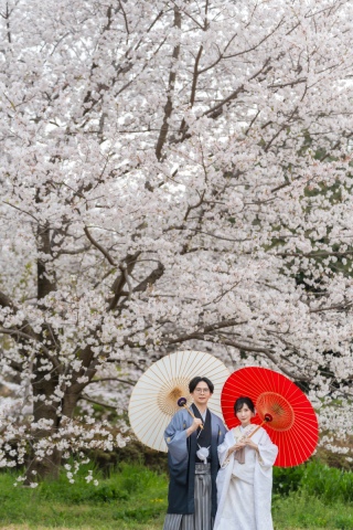 春の和装ロケーション撮影