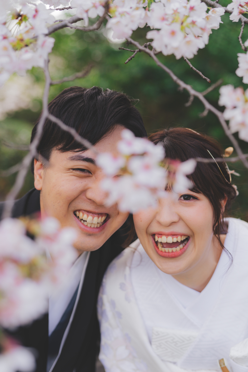 昭和記念公園桜3