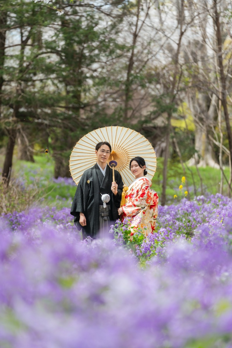 ムラサキハナナ