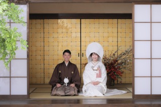 屋内庭園スタジオで綿帽子