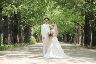 真夏とひまわり