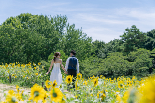 ひまわりロケーション！