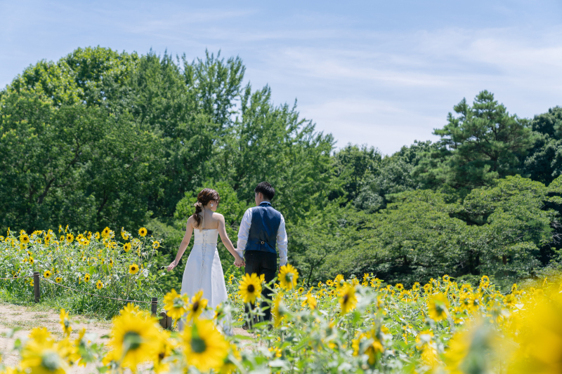 ひまわりロケーション！