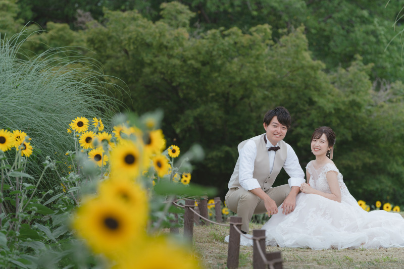 今年1番のひまわり!