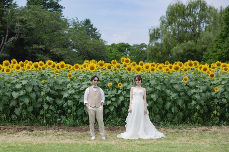 ハイブリッドサンフラワー