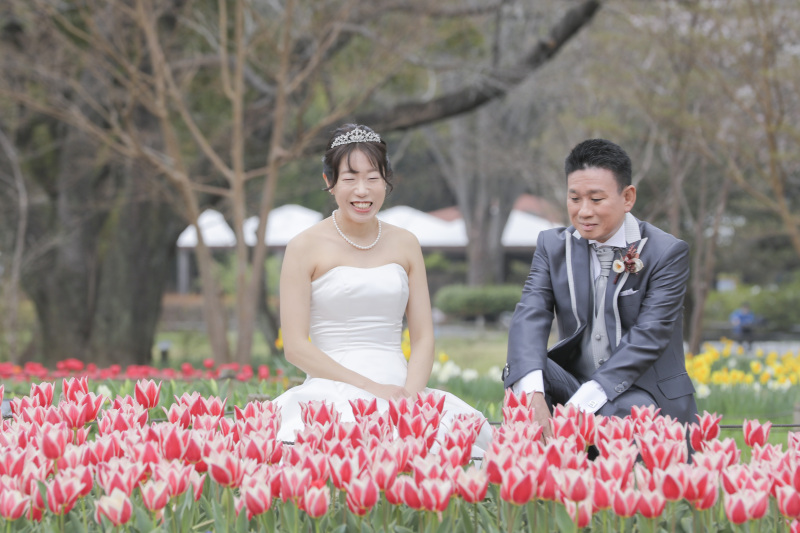 チューリップ満開!