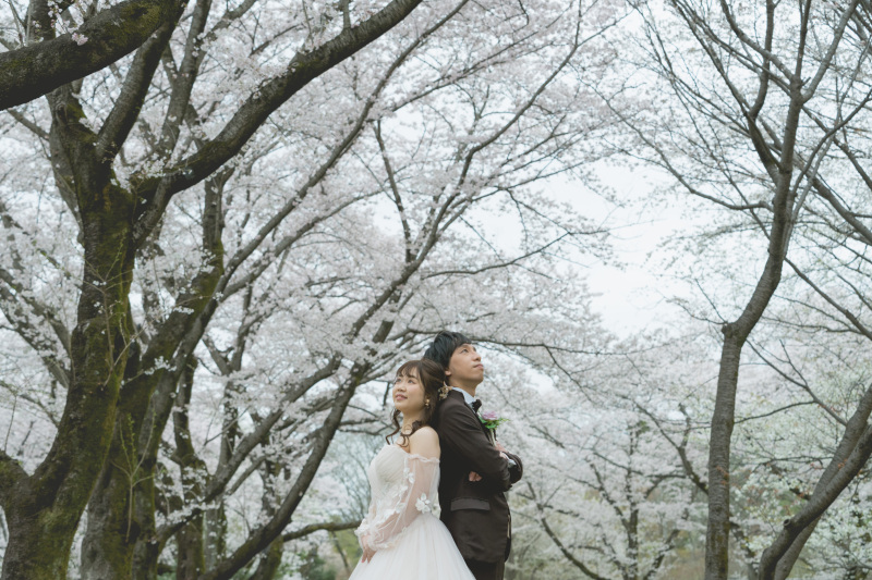 満開の桜を見上げて