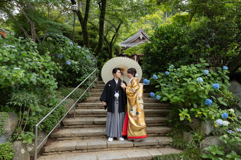 高幡不動尊の紫陽花+洋装ハウススタジオ