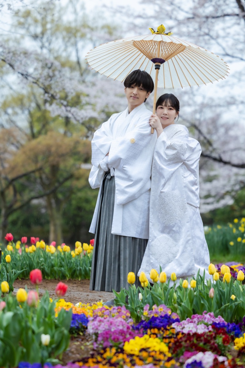 チューリップと桜の共演