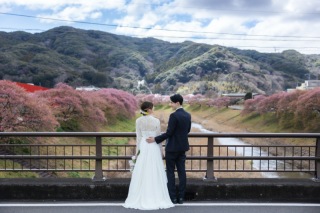 河津桜ロケーション『3箇所プラン』