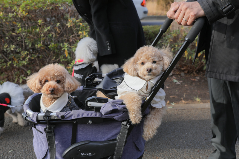 オフショット。