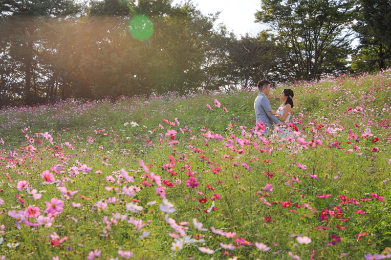 差し込む光に包まれて