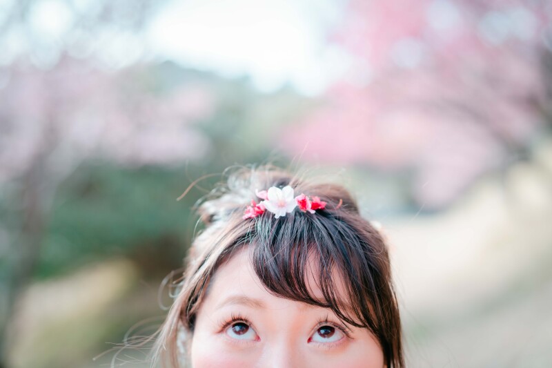 桜のアイテム!!