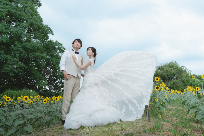 ひまわり畑でパサっ。