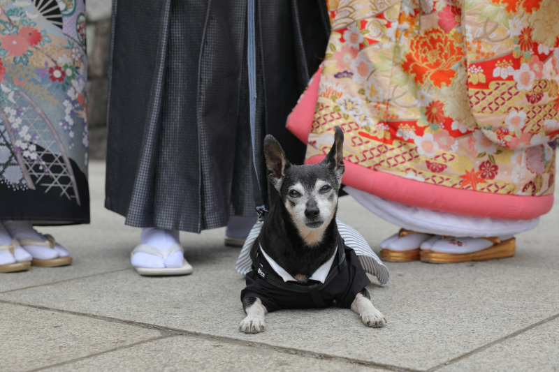 和装ロケーションで記念写真！