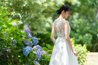 昭和記念公園『紫陽花』