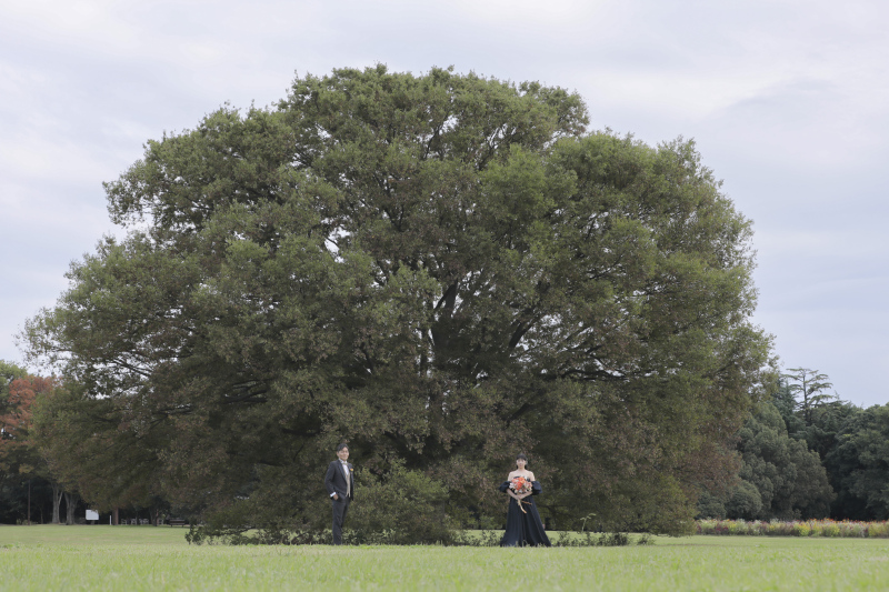 昭和記念公園といえば。