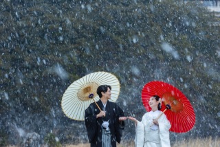 『雪』『桜』『菜の花』