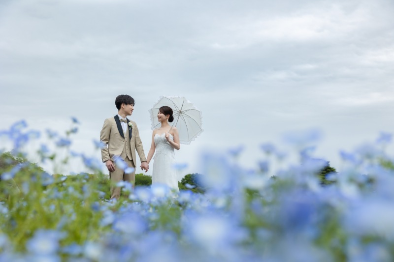 お花畑