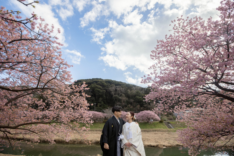 晴れ渡る青空と