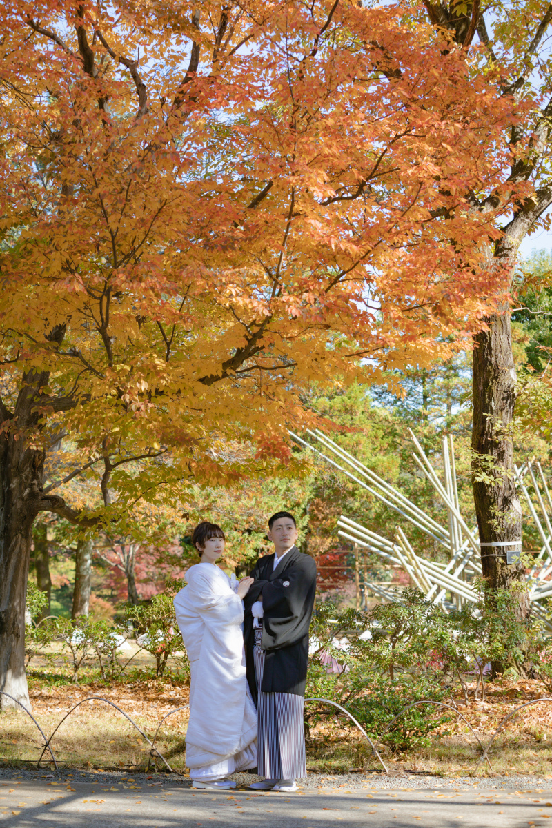 紅葉が綺麗なシーズン