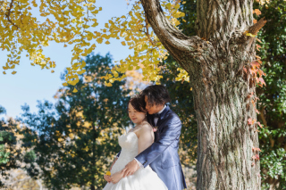 銀杏ロケーション