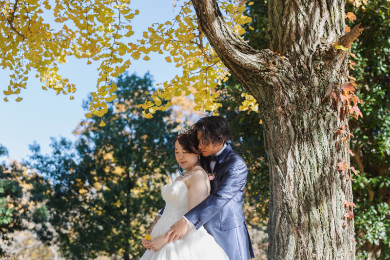 銀杏ロケーション