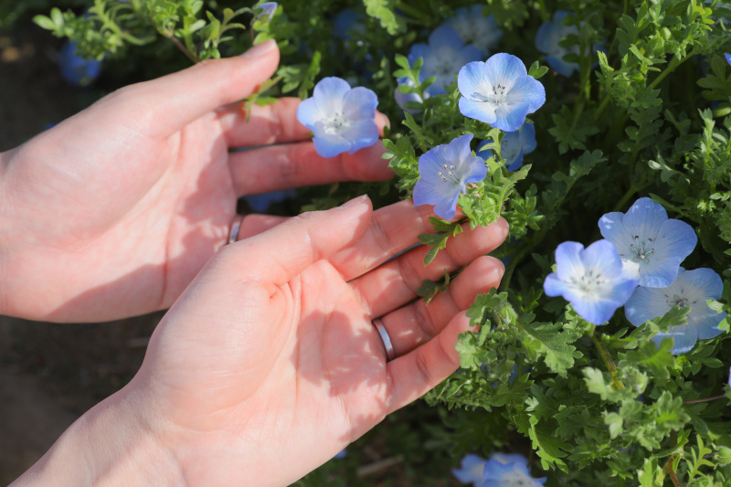 昭和記念公園で和装と洋装のいいとこ撮り！