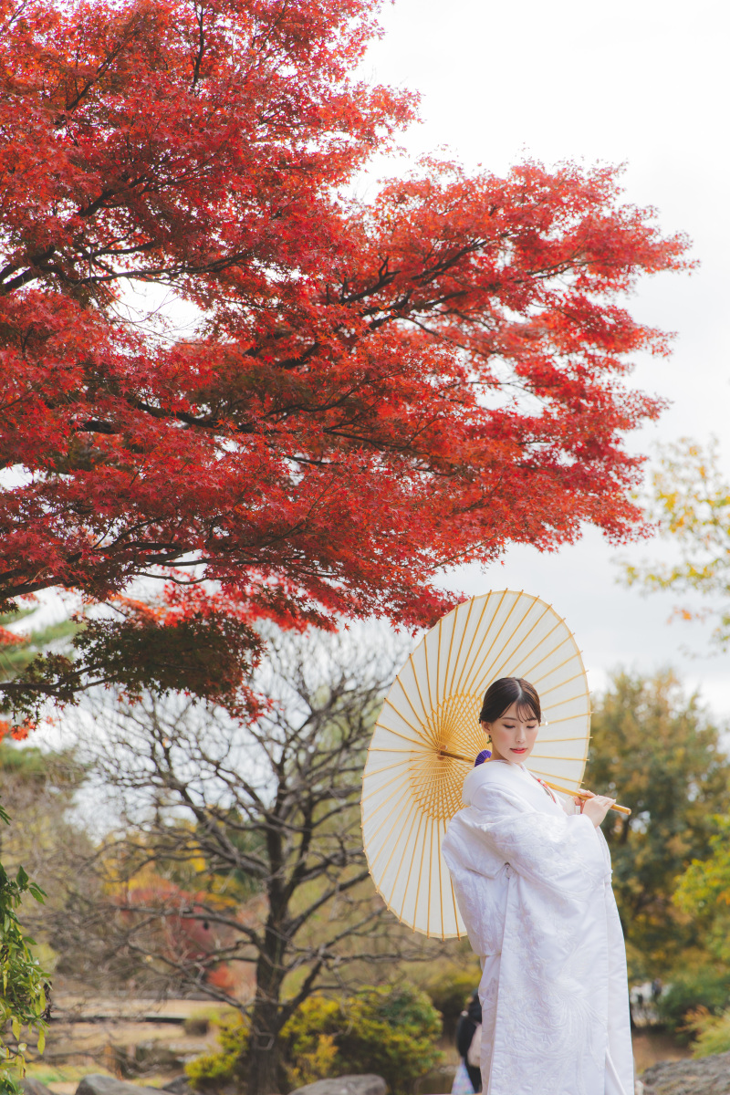 紅葉とイチョウ2