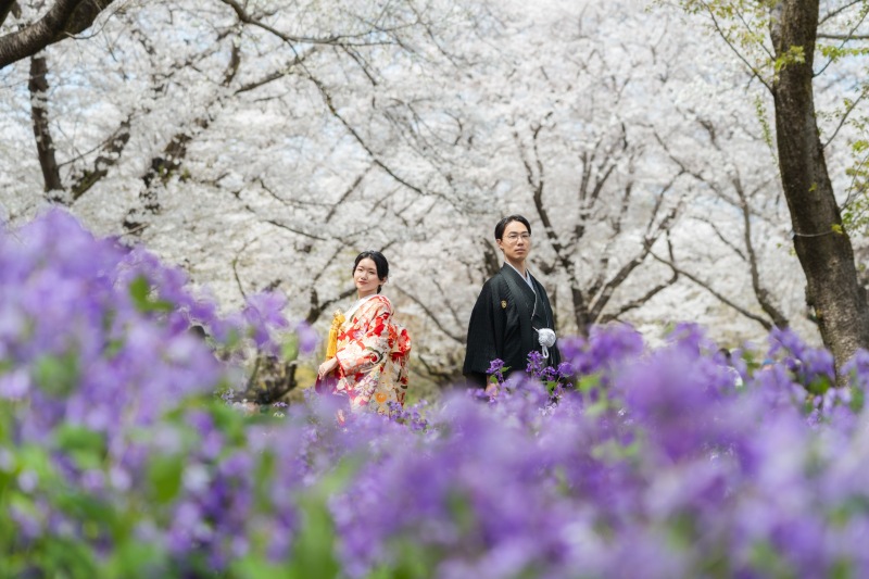 ムラサキハナナと桜の淡色コラボ