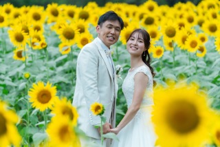 ひまわりロケ&スタジオ撮影