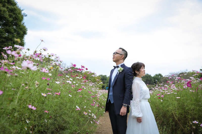 晴れ間も見えて