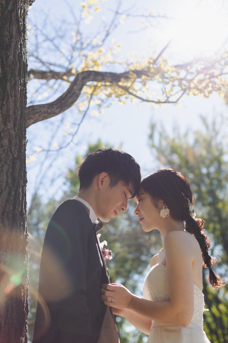 やわらかな光で