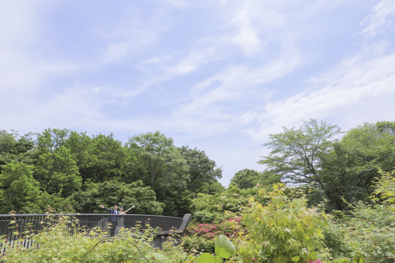 武藤散歩。パート2