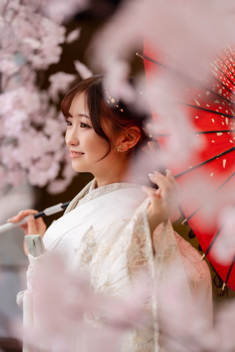 桜と和傘と一緒に