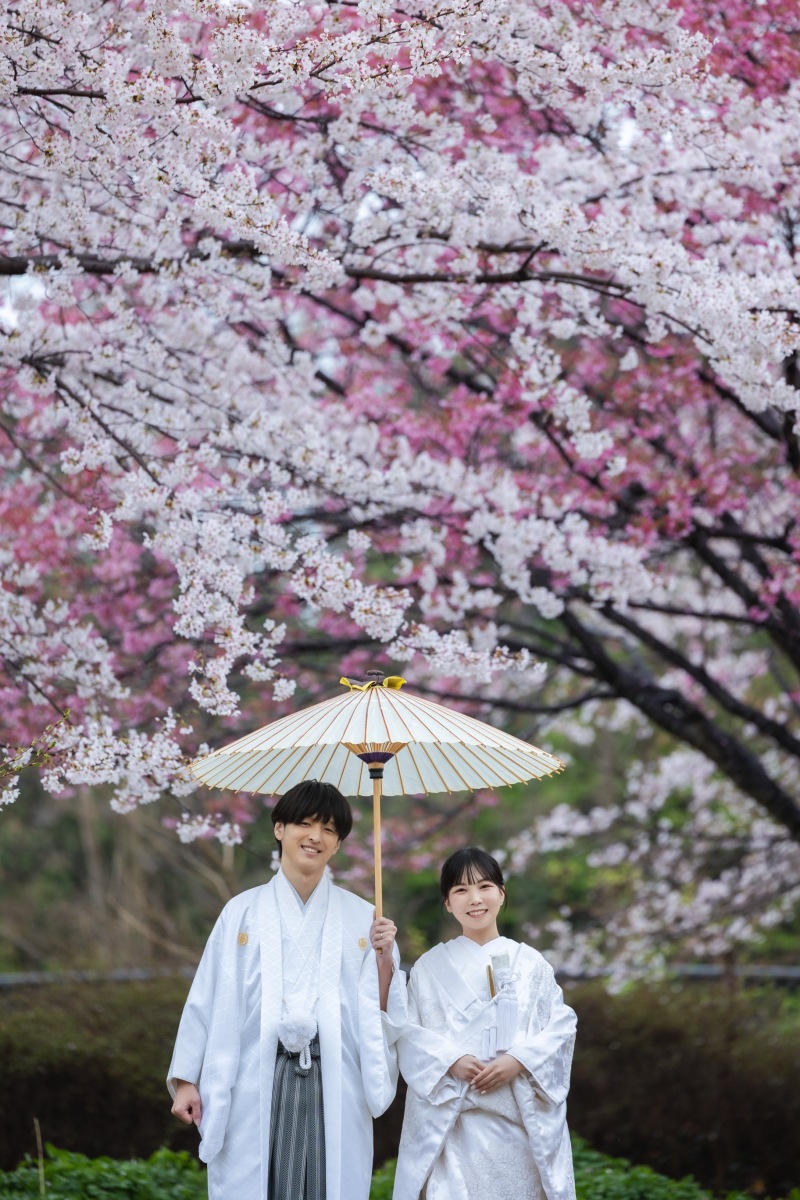 2色の桜