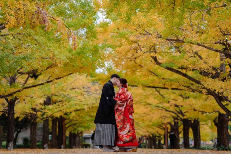 並木道の真ん中で