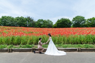 ロケーション撮影＋屋内庭園スタジオ