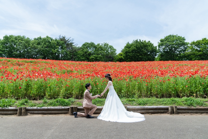 ロケーション撮影＋屋内庭園スタジオ