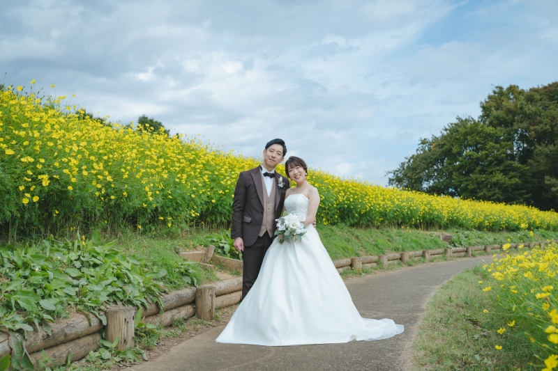 満開のコスモス