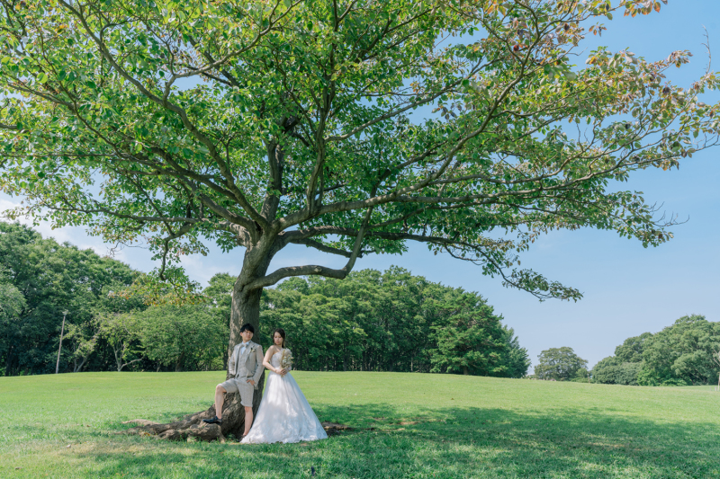大きな木の下で