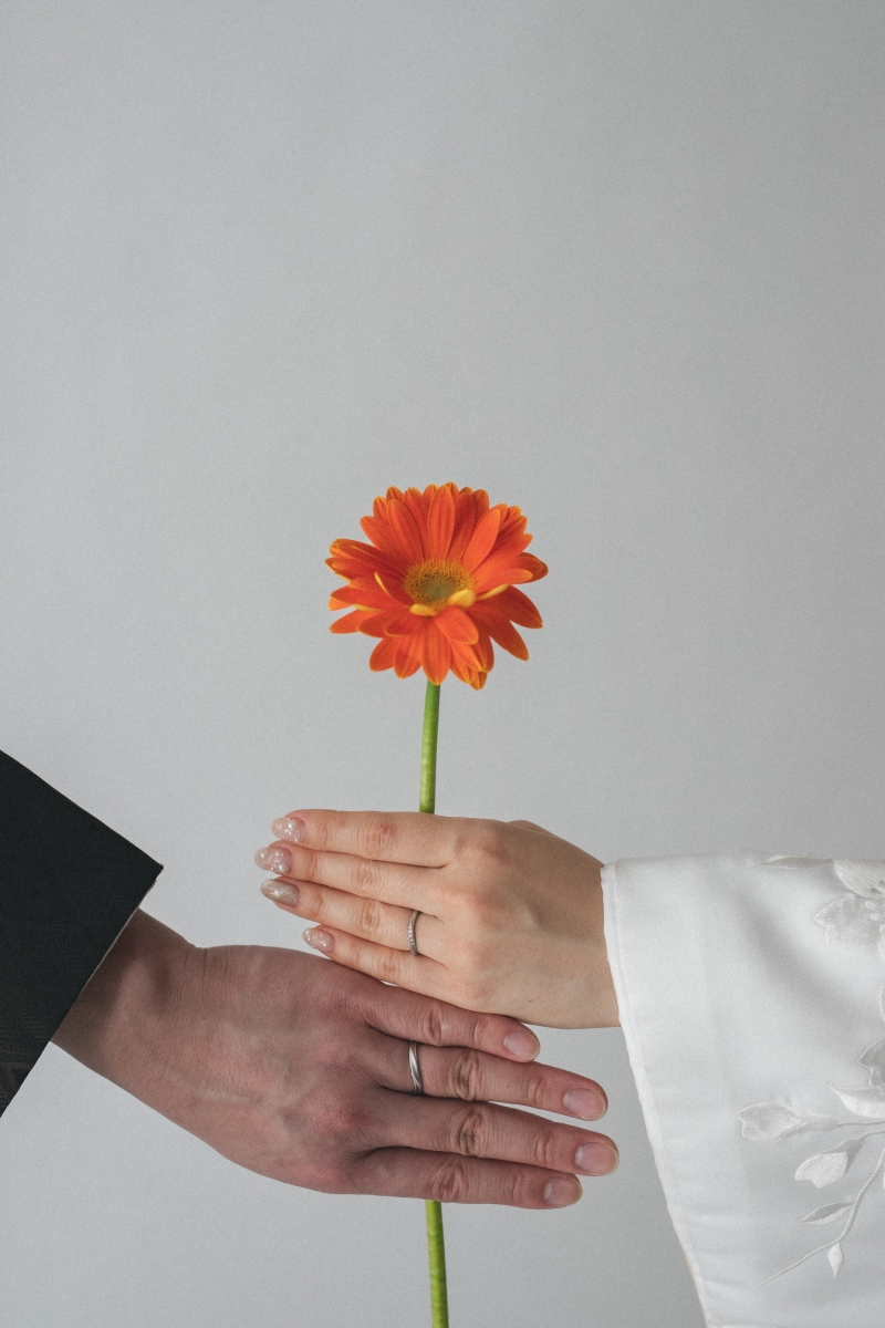 イメージショット