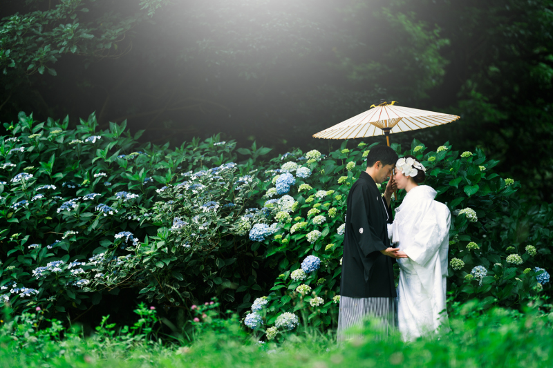 色とりどりの紫陽花と