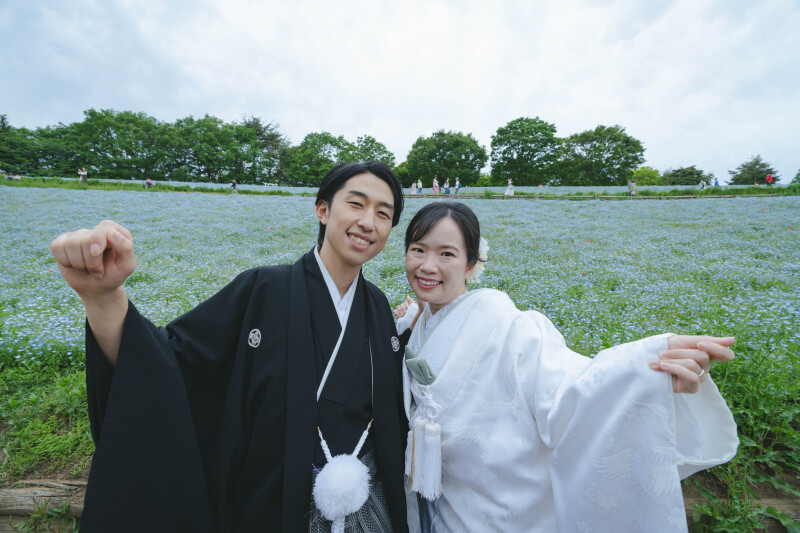 ネモフィラ全体と!