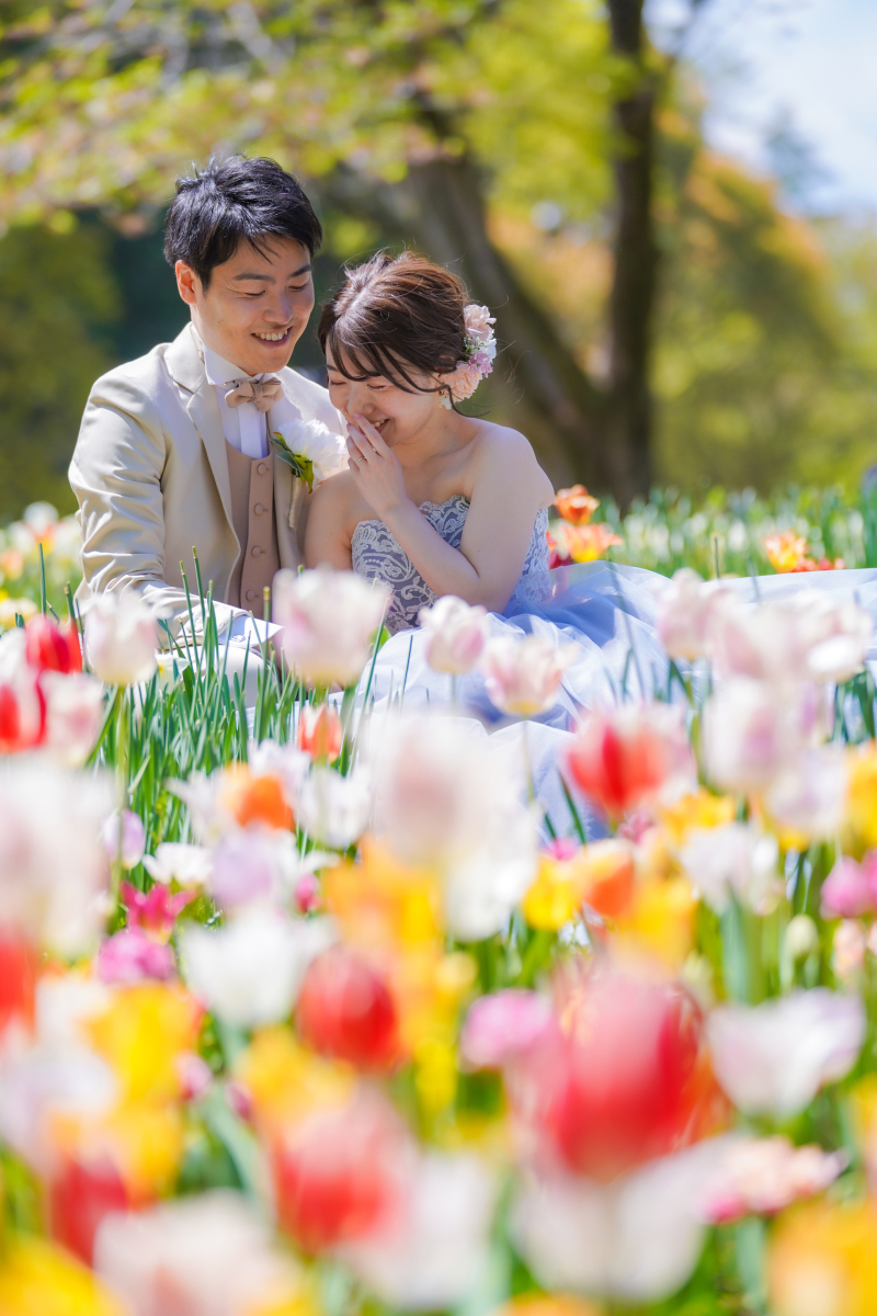 チューリップ畑で