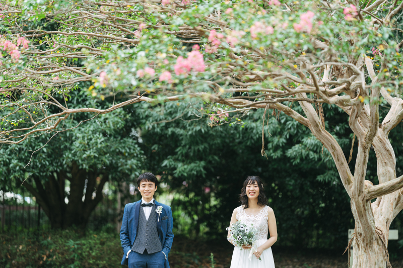 サルスベリが綺麗