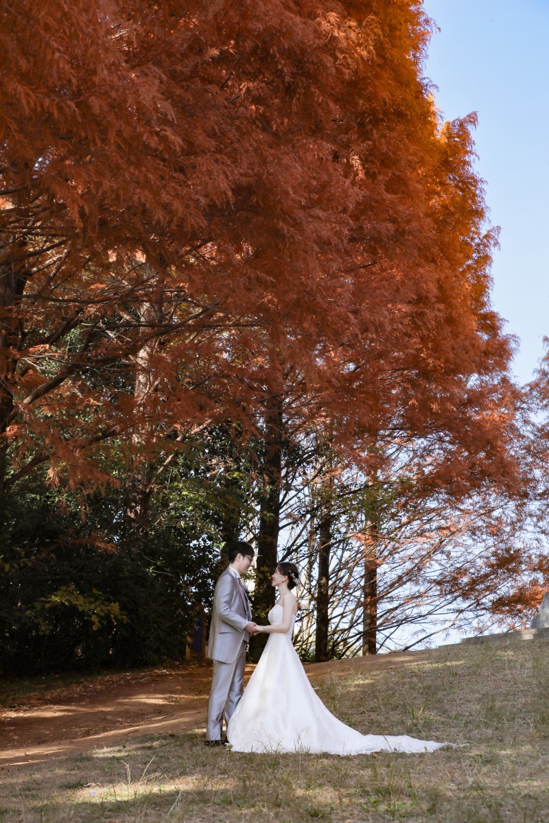 メタセコイヤの木の下で